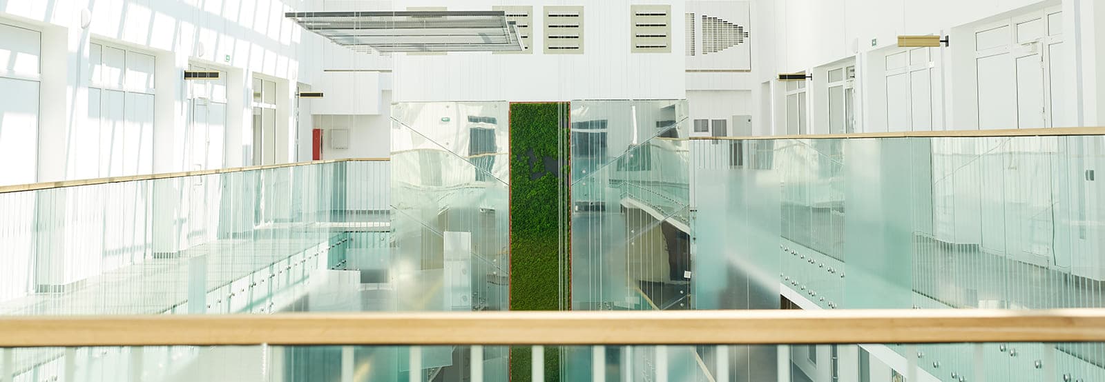 Frameless commercial glass railings with wood handrails in a bright office atrium