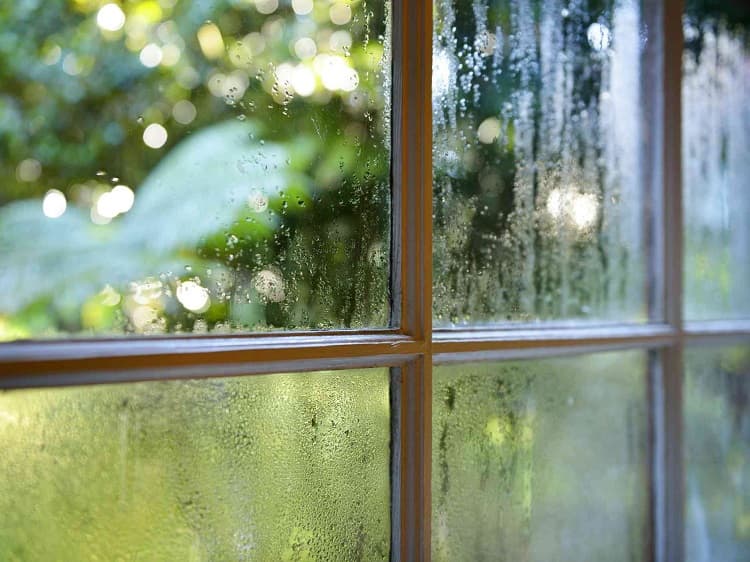Condensation covering a multi-pane window with a blurred outdoor view